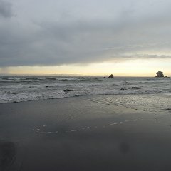 GirlsWildCat 068 : GirlsWildCat